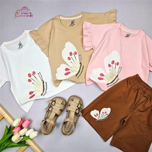 ست شاپرکی برجسته