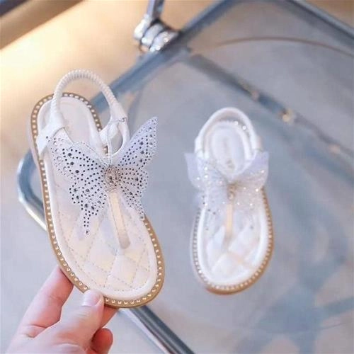 صندل پروانه